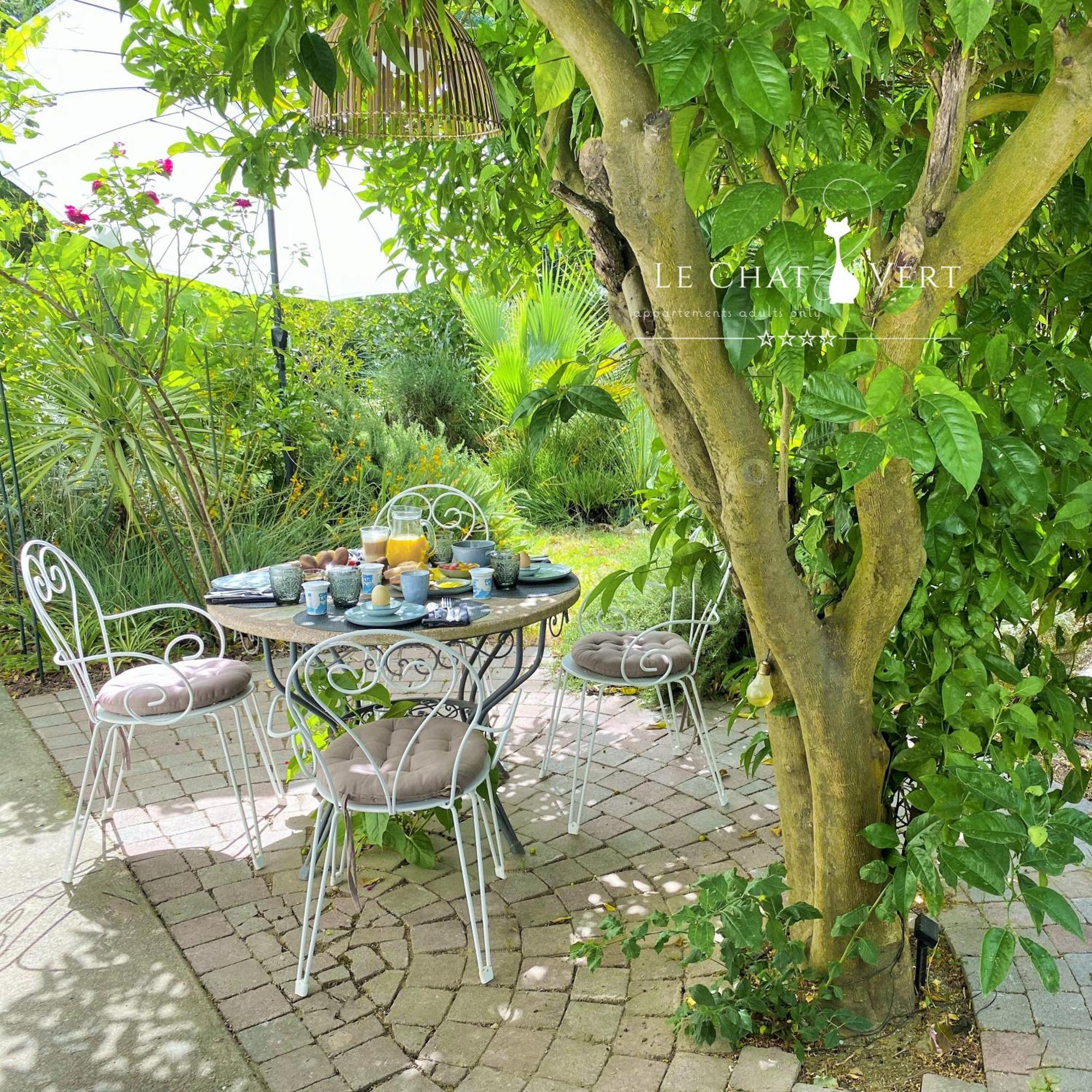 Le Chat Vert - Appartements Adults Only Saint-André المظهر الخارجي الصورة
