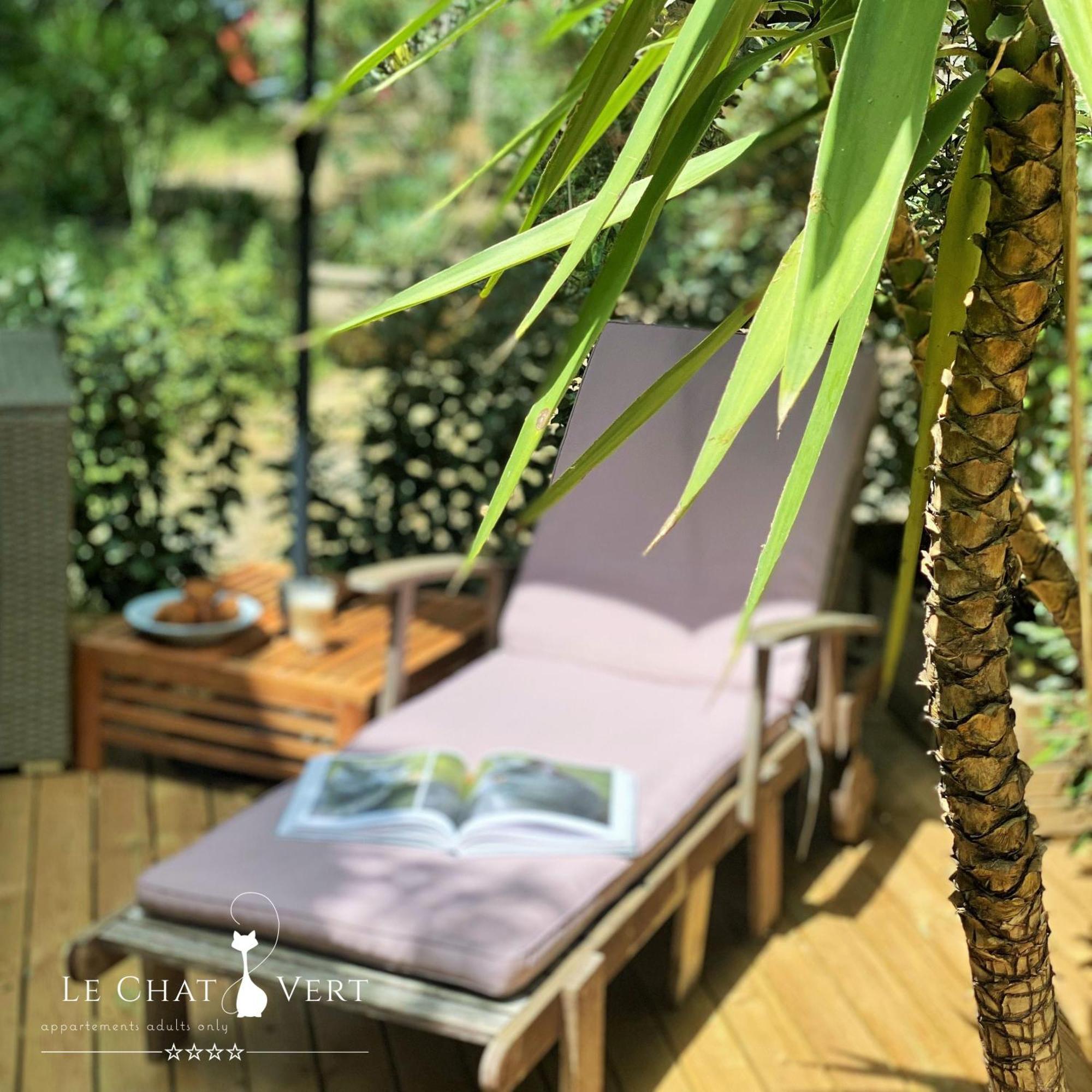 Le Chat Vert - Appartements Adults Only Saint-André المظهر الخارجي الصورة